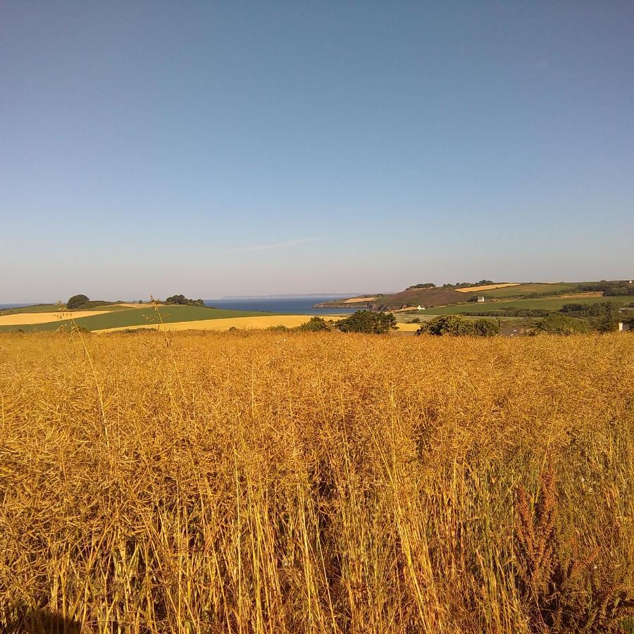 Loue Acces A La Cuisine A 10 Mn Des Plages Homestay