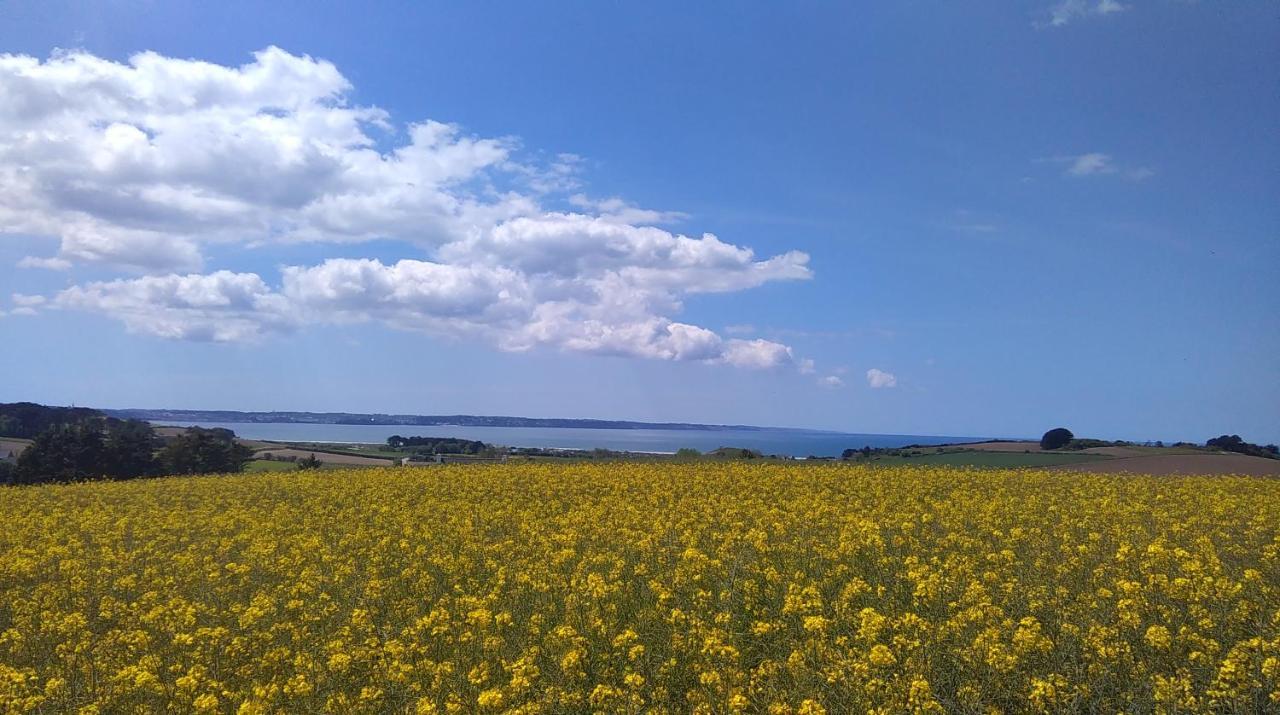 Séjour chez l'habitant Loue Acces A La Cuisine A 10 Mn Des Plages *